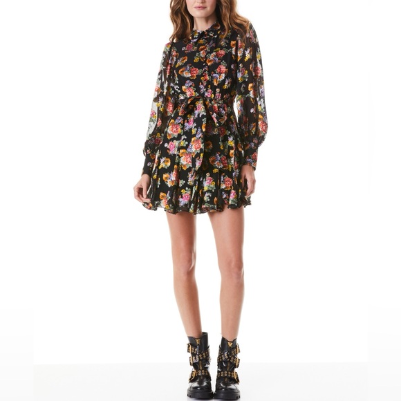 Mini long sleeve button front tie waist dress - Picture 1 of 4